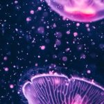 Luminescent Composites - Four Purple Jellyfish