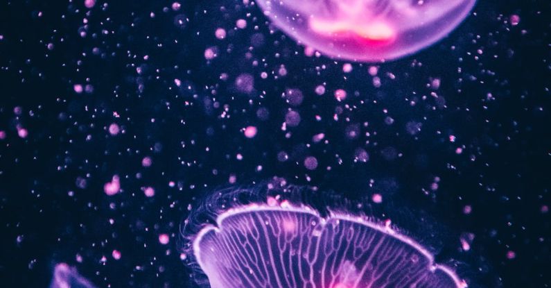 Luminescent Composites - Four Purple Jellyfish