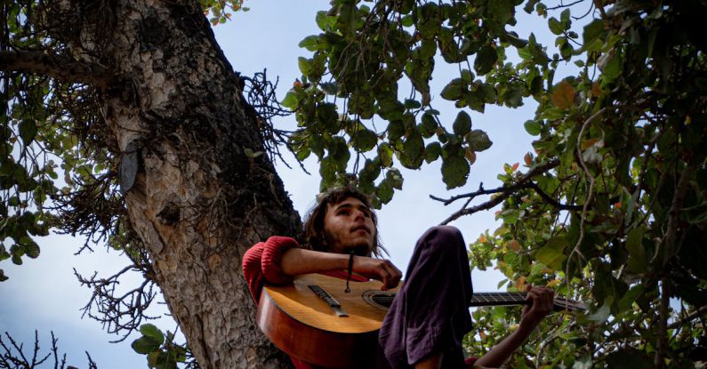 Acoustic Excellence - A man sitting in a tree playing a guitar